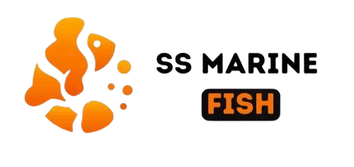 photo_6318831937321112279_x__1_-removebg-preview